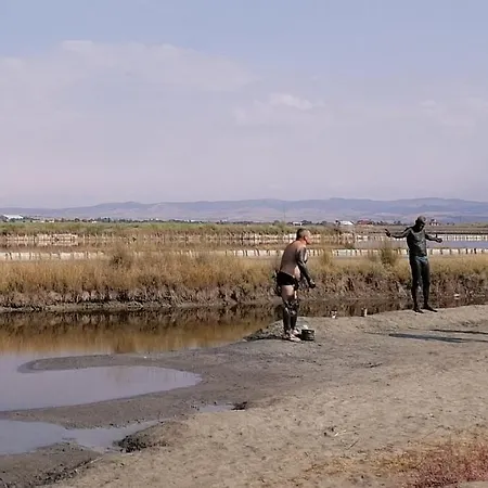 даскала с паркомясто *